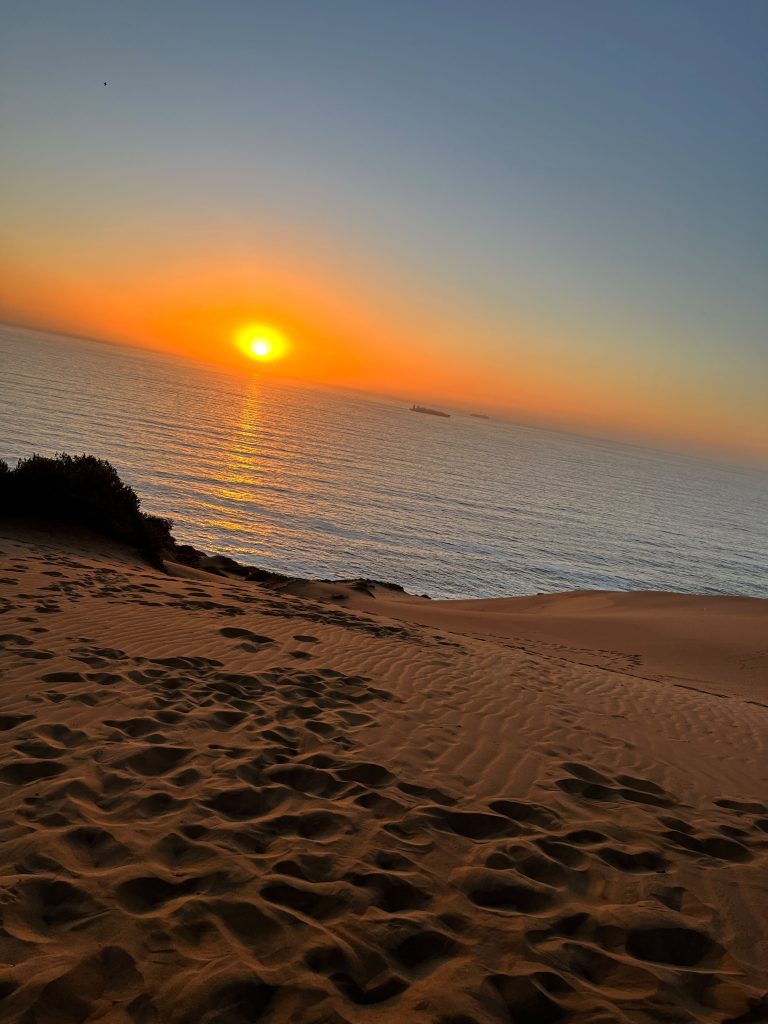 Sol de Fuego 1
