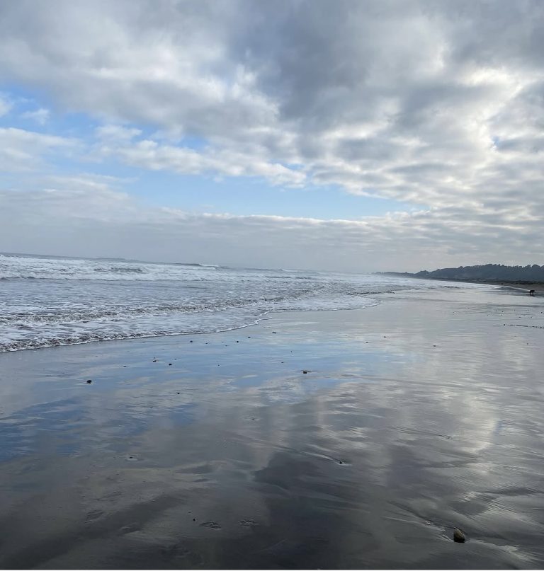 REFLEJOS 1
