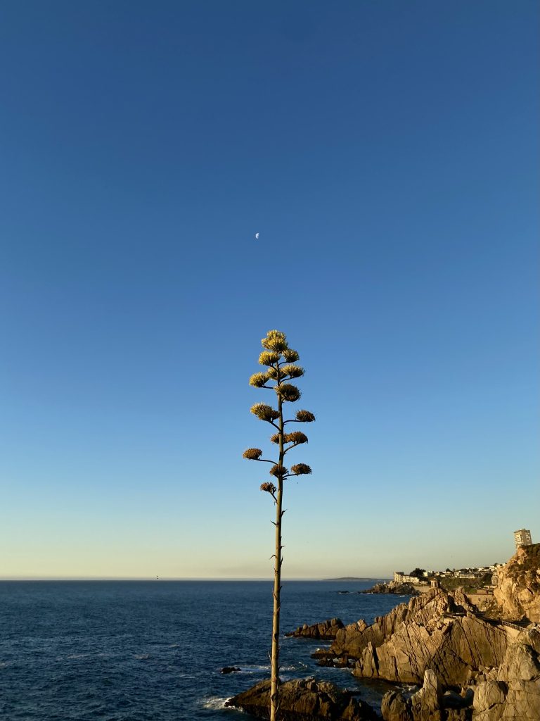 Más allá de la luna 1