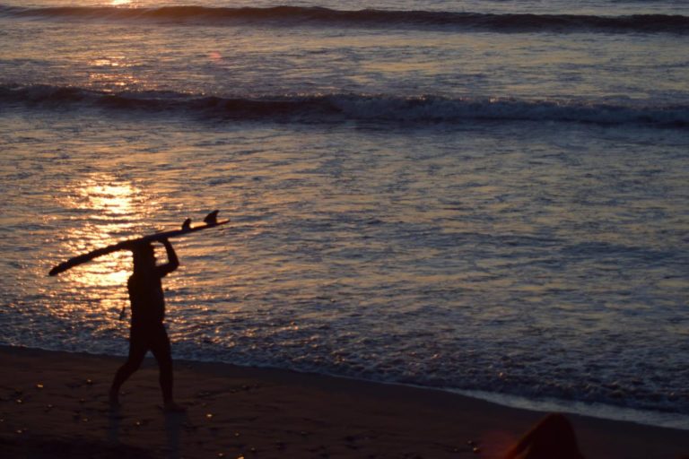 Last Glim Surfer 1