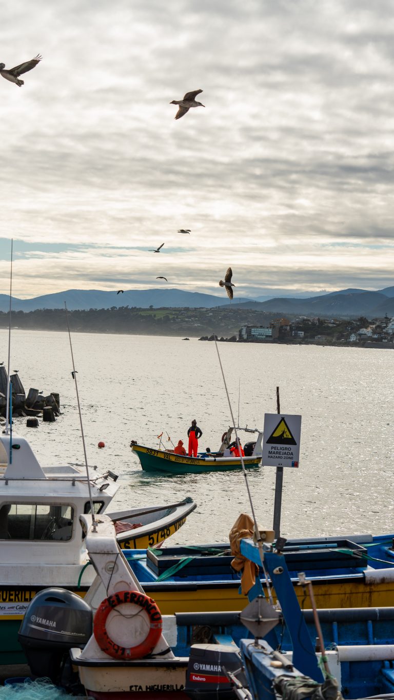 La vida frente al mar 1